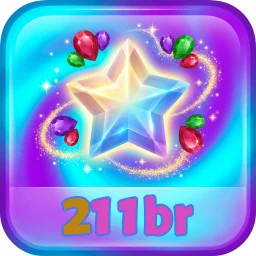 211br